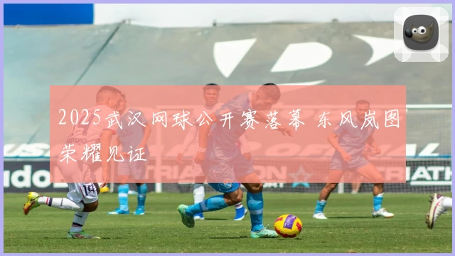 2025武汉网球公开赛落幕 东风岚图荣耀见证