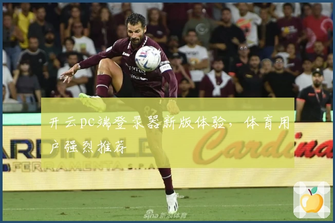 开云pc端登录器新版体验，体育用户强烈推荐