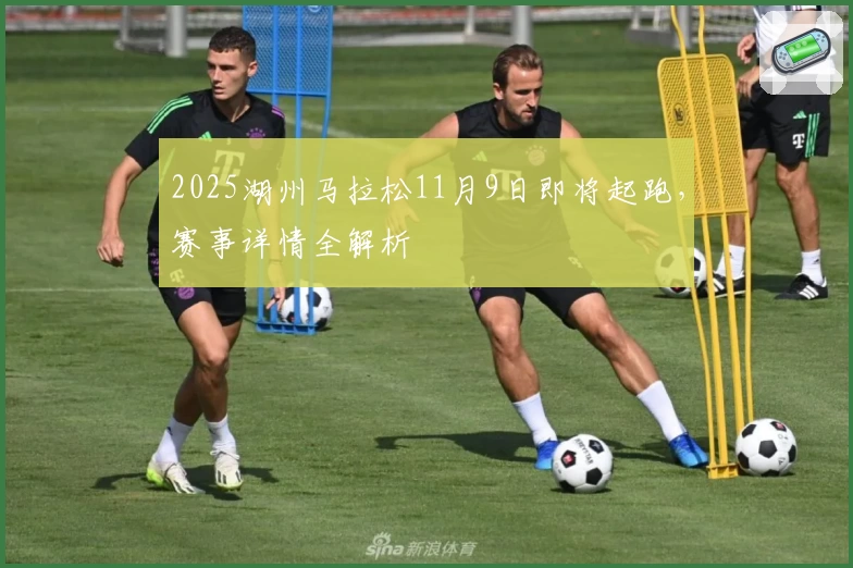 2025湖州马拉松11月9日即将起跑，赛事详情全解析